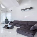 Festival Celebration